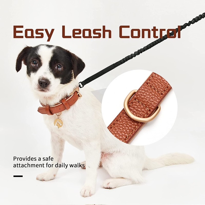 Leather Dog Collar Manufacturer - Breathable Neoprene Padded Waterproof