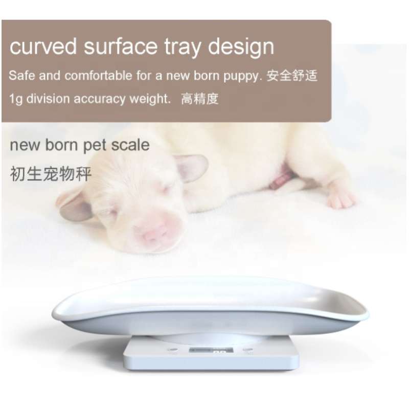 Pet Weighing Scale Supplier - Digital Portable Guinea Pig Scale