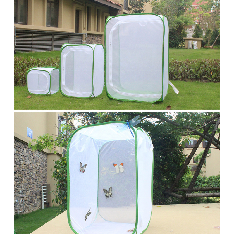 Butterfly Net House Supplier - Green Collapsible Zipper Closure