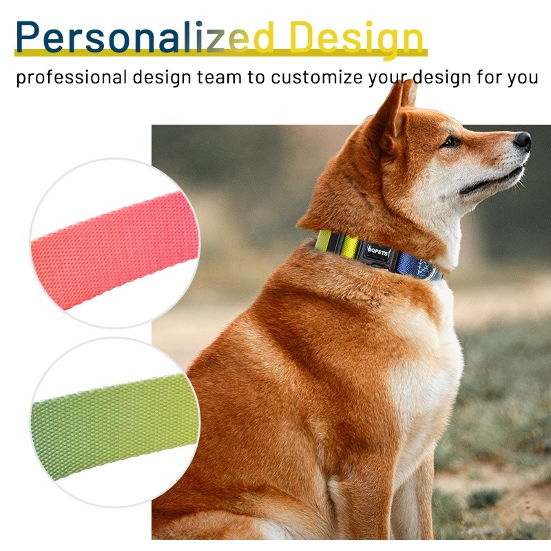 Pet Collar and Leash Supplier - Multi Gradient Color Custom Printed