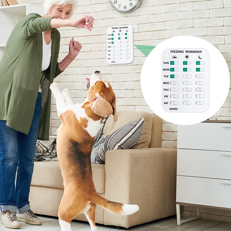 Pet Feeding Reminder Factory - Magnetic 3 Times a Day Sticker