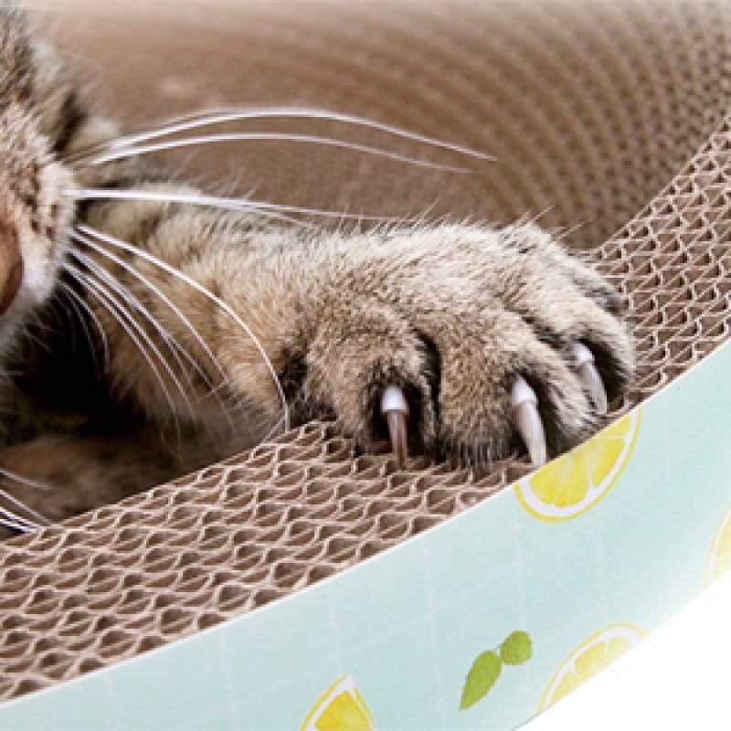 Cardboard Scratcher Manufacturer - Oval High-density with Catnip