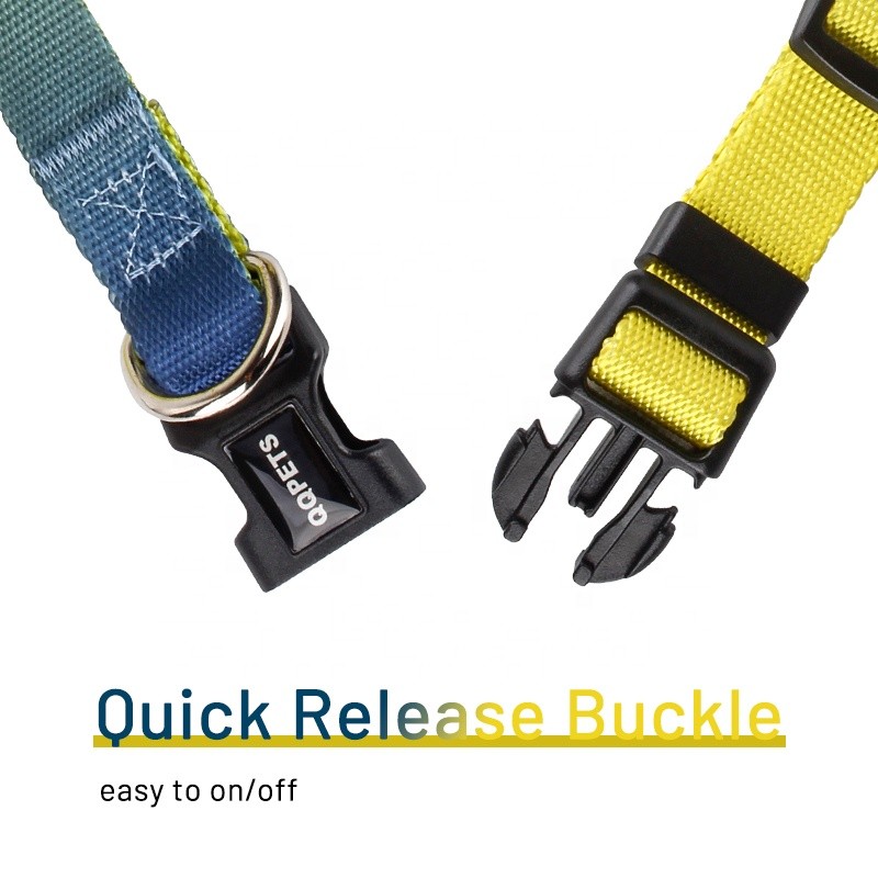 Pet Collar and Leash Supplier - Multi Gradient Color Custom Printed