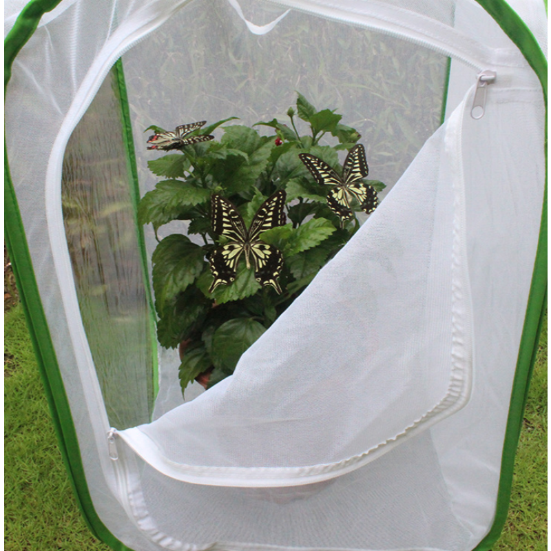 Butterfly Net House Supplier - Green Collapsible Zipper Closure
