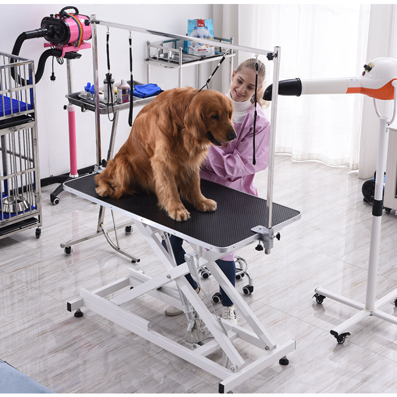 Pet Grooming Table Supplier - Electric Lifting with Arm
