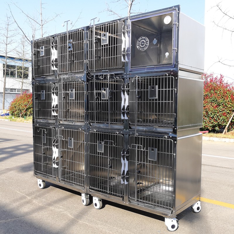 Veterinary Cage Factory - Twelve Compartments Hospital Quality