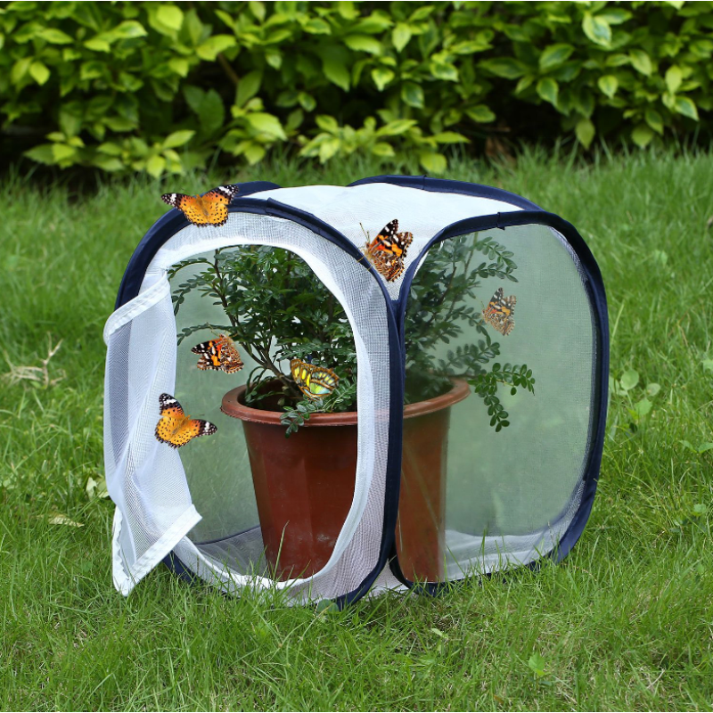 Butterfly Habitat Cage Manufacturer - Collapsible Net House Pop-up