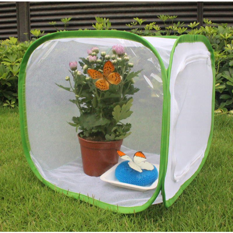 Butterfly Net House Supplier - Green Collapsible Zipper Closure