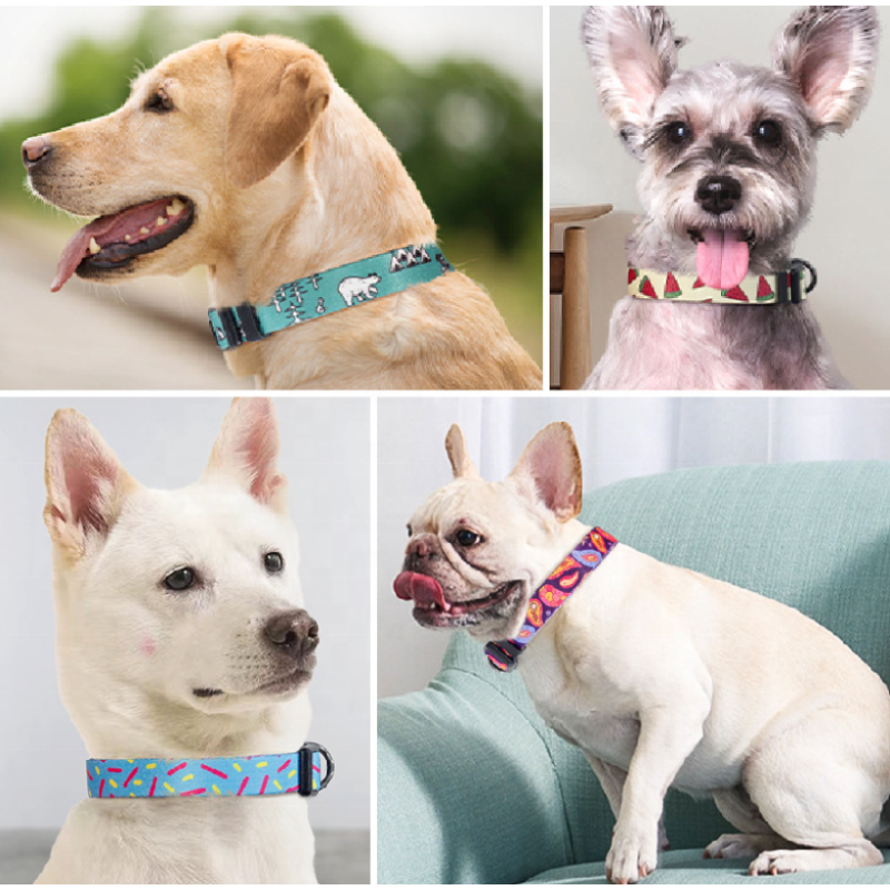 Pet Dog Collar Manufacturer - Custom Printed Logo Polyester Soft