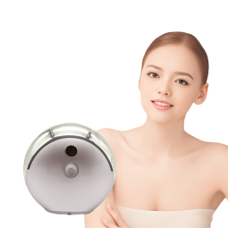 RF Face Massager Manufacturer - Smart LED Ion Care Various Plugs