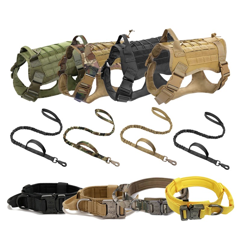 Pet Collars Manufacturer - Popular Newest Fashionable Safety Design