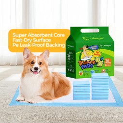 Dog Pee Pad Supplier - Fast Delivery Custom Logo Super Absorbent