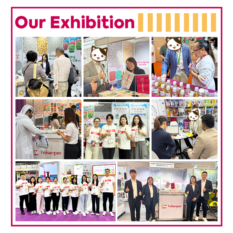 Pet Pee Pad Supplier - OEM Flexible Payment Super Absorbent