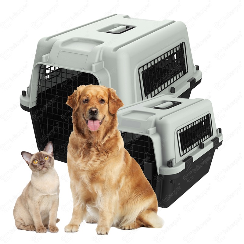 Pet Dog Carrier Supplier - Custom Large Plastic Airline Approved