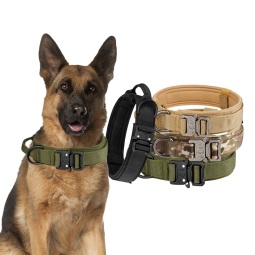 Pet Leash Supplier - Spot Inventory Anti-lost Simple Nylon