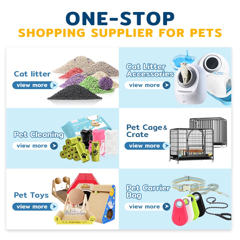 Pet Collar Supplier - 48 Hour Shipping Cute Adjustable Ventilate