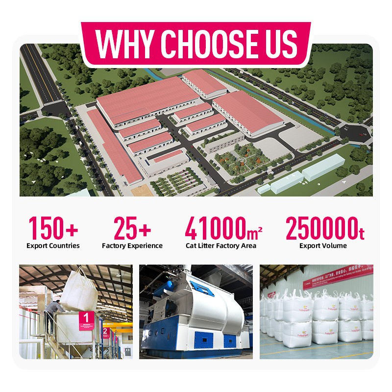 Color Changing Cat Litter Factory - OEM Exclusive Formula With Ph Tester