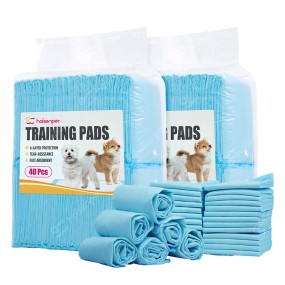 Puppy Training Pad Manufacturer - Factory Direct 6 Layer Disposable