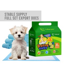 Dog Training Pads Manufacturer - Free Samples Wholesale Disposable