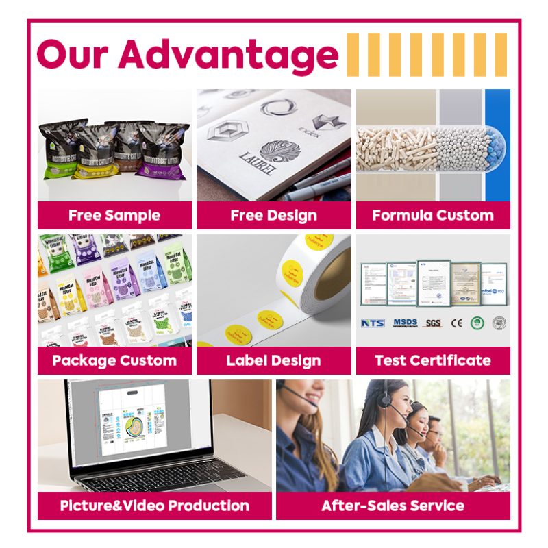 Washable Pet Diapers Factory - OEM Free Sample Super Absorbent