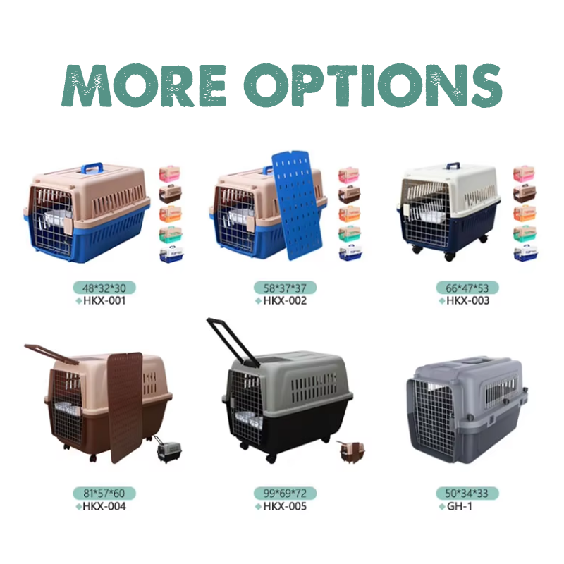 Pet Dog Carrier Supplier - Custom Large Plastic Airline Approved
