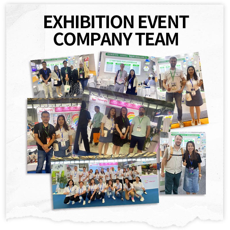 Cat Dry Food Factory - OEM Natural Protein Beef Flavors Star Shapes