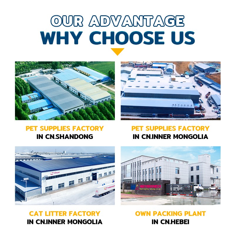 Pet Bed Supplier - Popular Newest High Quality Easy Cleaning