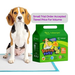 Pet Pee Pad Manufacturer - High Quality Polymer SAP Non-Woven
