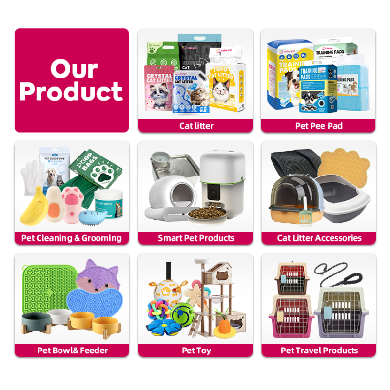 Pet Carrier Factory - Q235+PP+ABS Durable Outdoor Travel Box