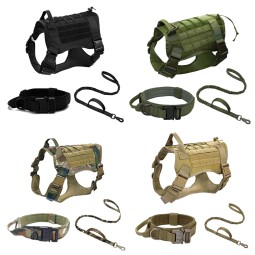 Pet Collars Manufacturer - Popular Newest Fashionable Safety Design