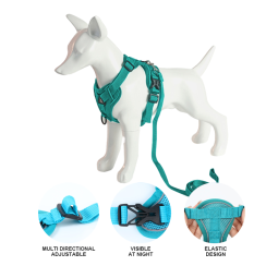 Pet Collar Supplier - 48 Hour Shipping Cute Adjustable Ventilate