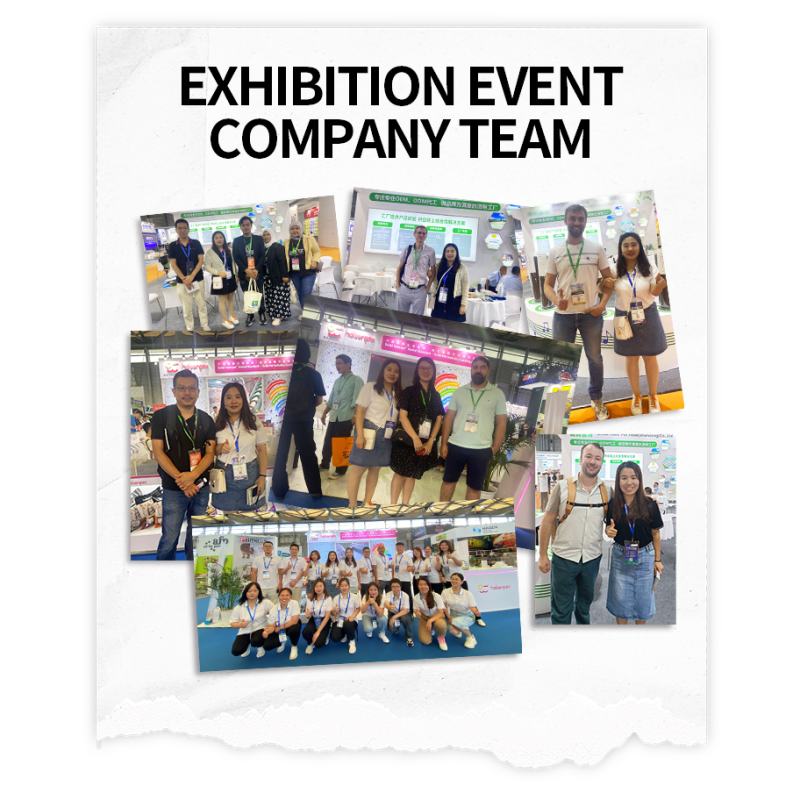 Dog Collar Supplier - Spot Inventory LED Light Multicolor Adjustable