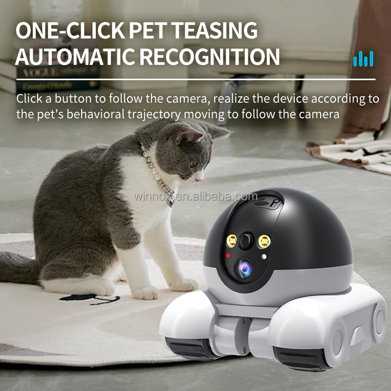 Pet Camera Factory - AI Motion Detection Self-Charge