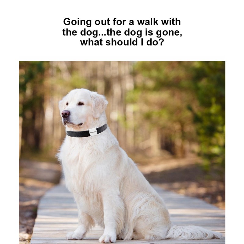 Pet Tracker Supplier - Real Time 4G GPS Mini Locator