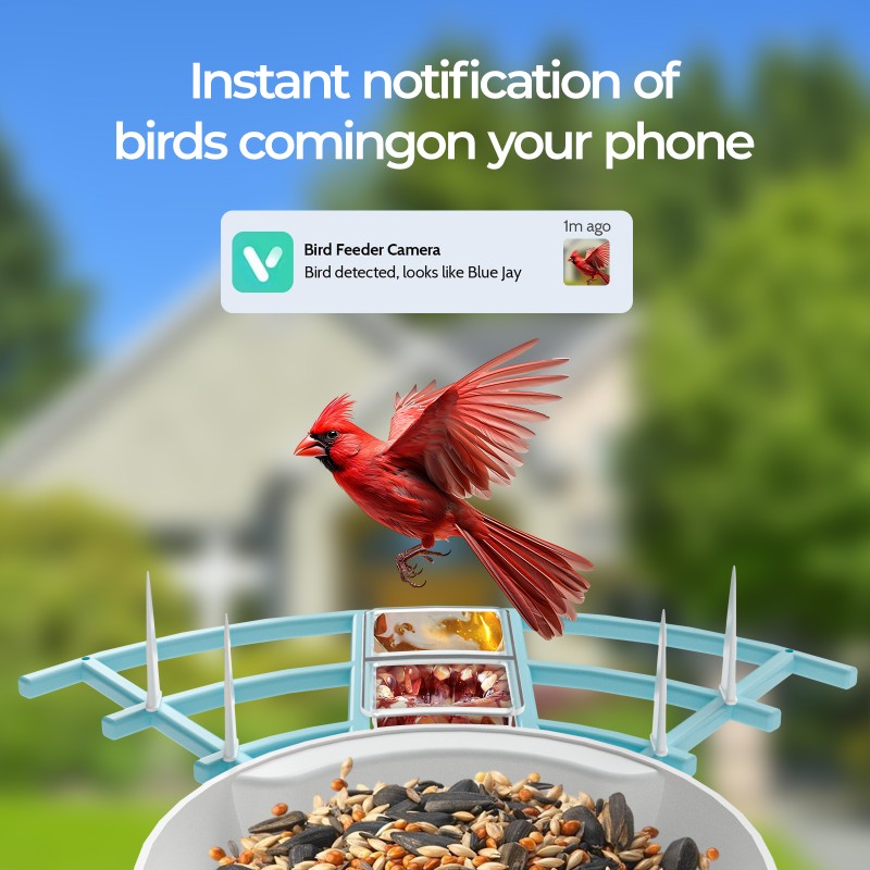 Bird Feeder Factory - Plastic AI Camera Outside Hanging