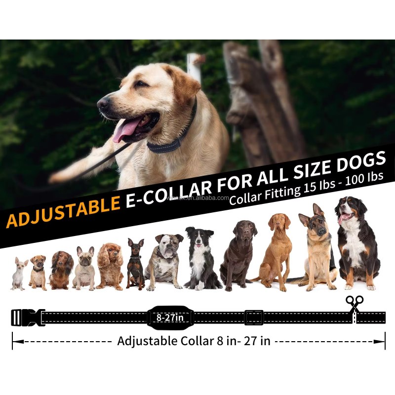 Dog Collar Manufacturer - Webbing Personalized Luxury Set