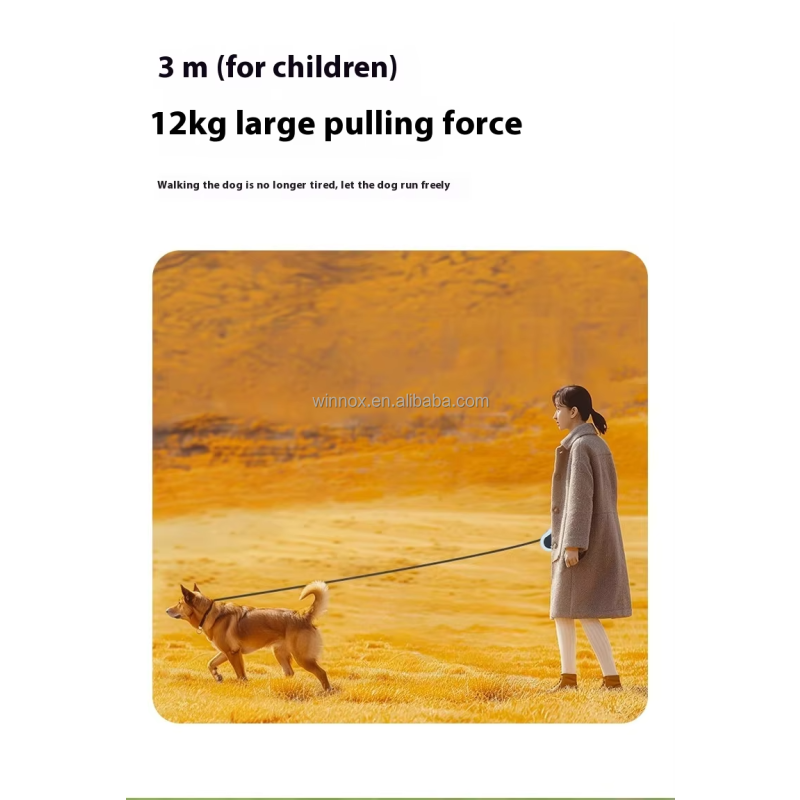 Pet Traction Device Supplier - 5m Plastic Children's Walking