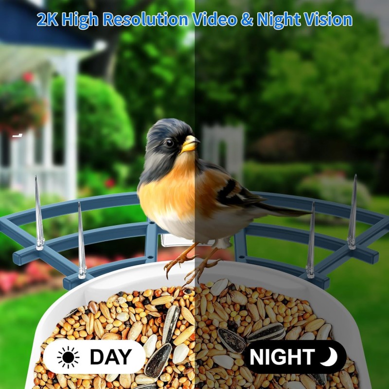 Bird Feeder Supplier - Solar Powered 2K Camera AI Identify