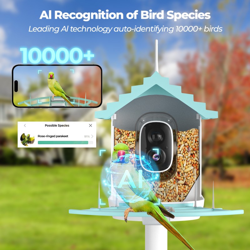 Bird Feeder Supplier - Solar-Powered IP65 Night Vision