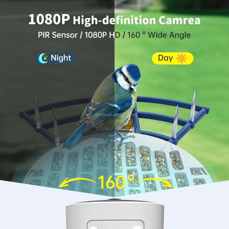 Bird Feeder Factory - Solar Powered Smart AI Camera