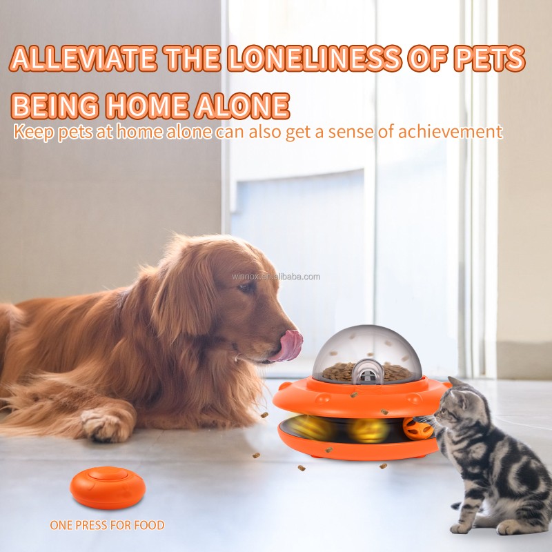 Pet Chew Toy Supplier - Interactive Leaking Hole Flying Disc