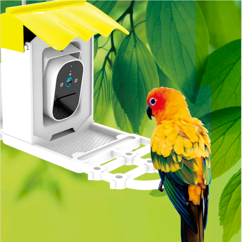 Bird Feeder Factory - 4MP Wifi Solar Video Motion Detection