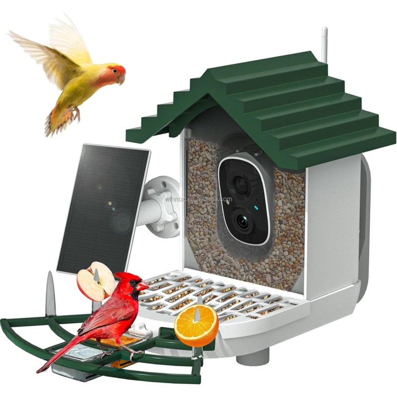 Bird Feeder Factory - Solar Powered Smart AI Camera