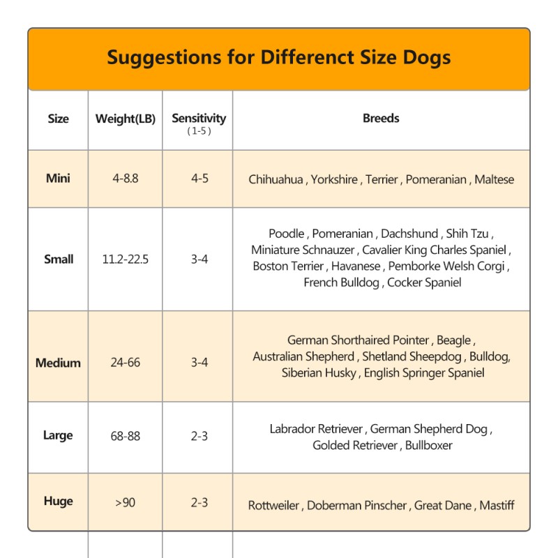 Dog Training Collar Manufacturer - Adjustable No Shock Waterproof