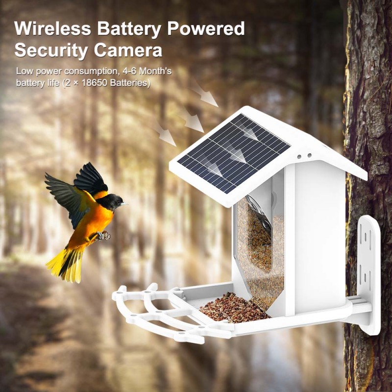 Bird Feeder Manufacturer - Wifi Solar HD Video Automatic