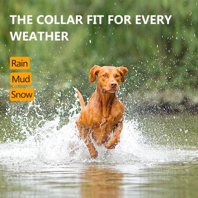 Dog Training Collar Supplier - 3300FT Automatic Anti Bark