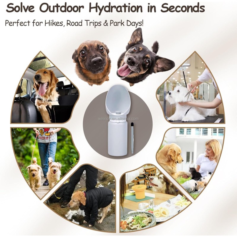 Pet Water Dispenser Factory - Collapsible Food Grade Silicone