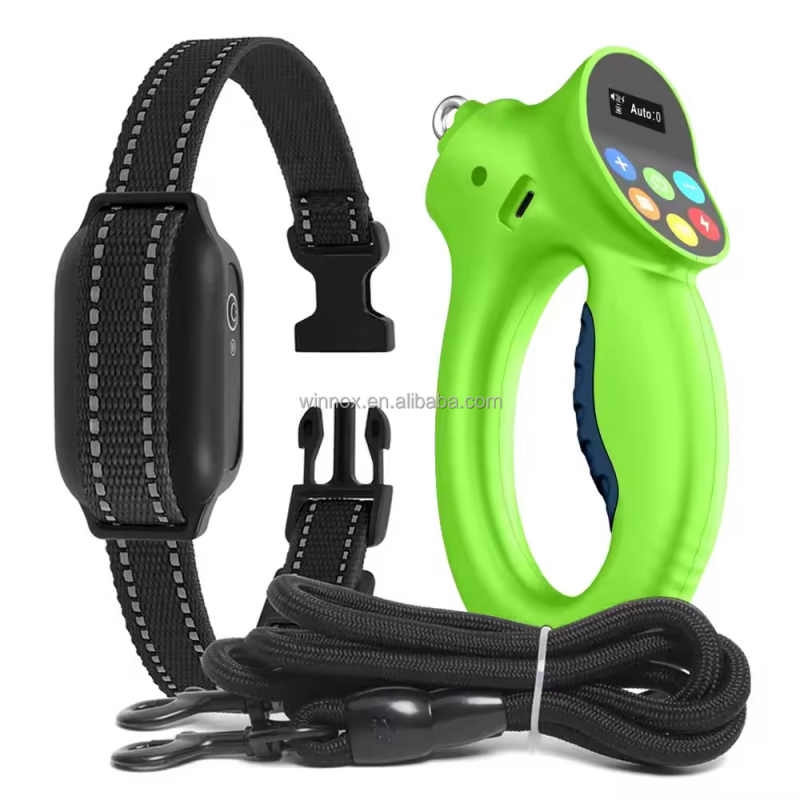 Dog Collar Manufacturer - Webbing Personalized Luxury Set