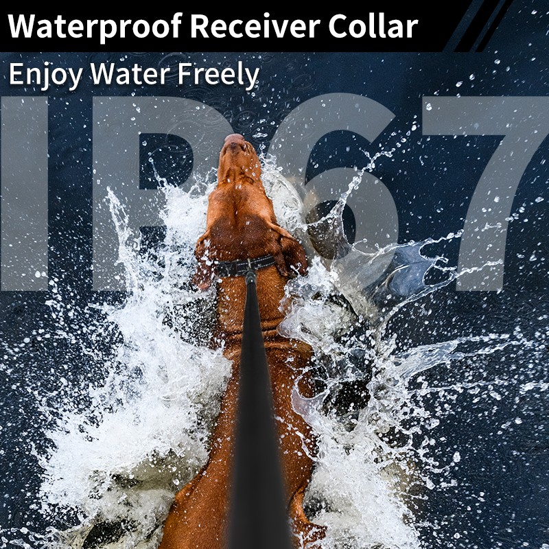 Dog Training Collar Factory - 2 in 1 Retractable Anti Bark