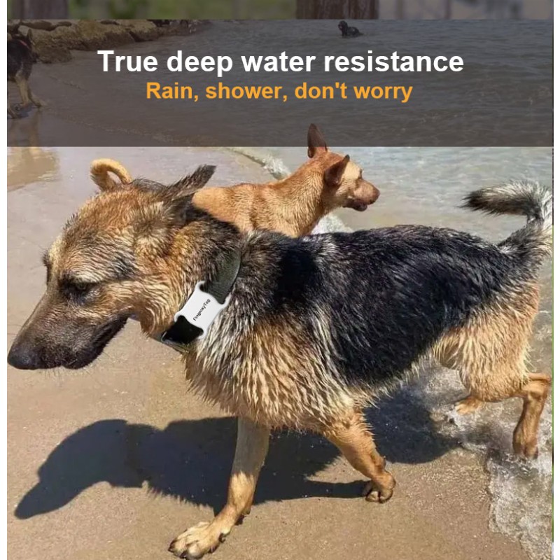 Pet Tracker Supplier - Real Time 4G GPS Mini Locator